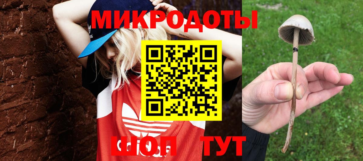Галлюциногенные грибы ЛСД Чапаевск