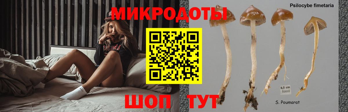 наркота  Псилоцибиновые грибы прущие грибы  Вход с VPN  Чапаевск 